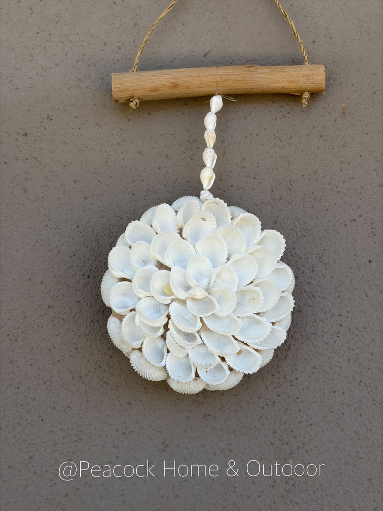 Shell Round Hanging