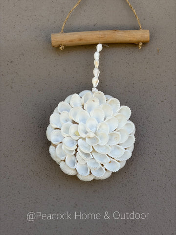 Shell Round Hanging
