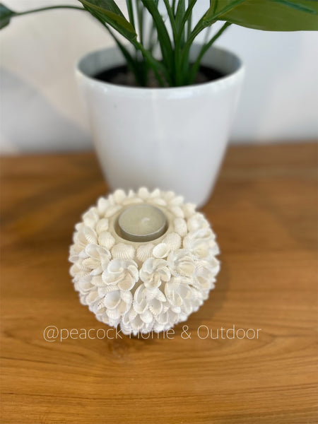 Shell Candle Holder
