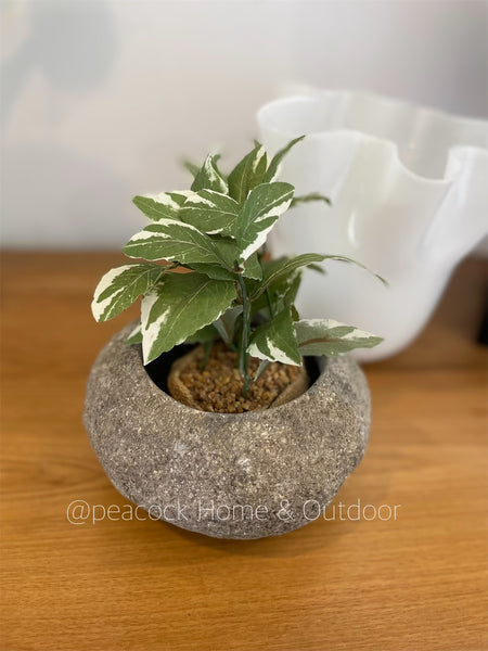 Lava Pot