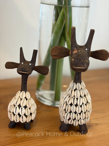 Moose - Shell
