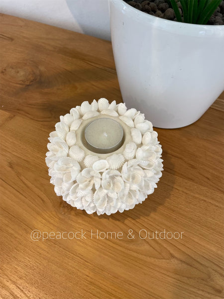 Shell Candle Holder