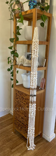 Shell Hanging