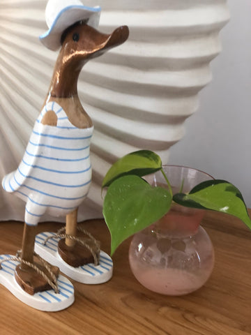Beach Duck - boy
