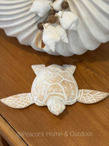 Timmy Turtle