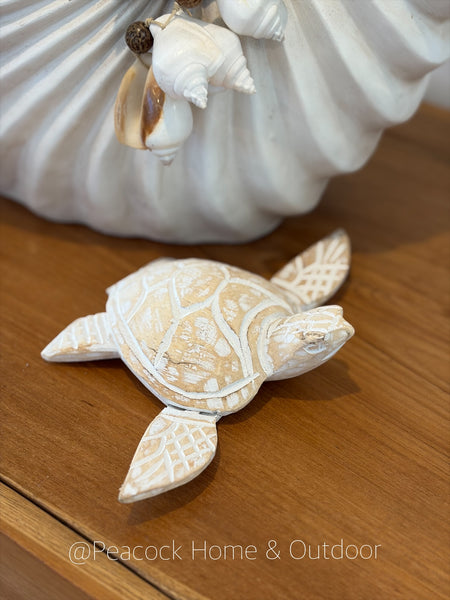 Timmy Turtle