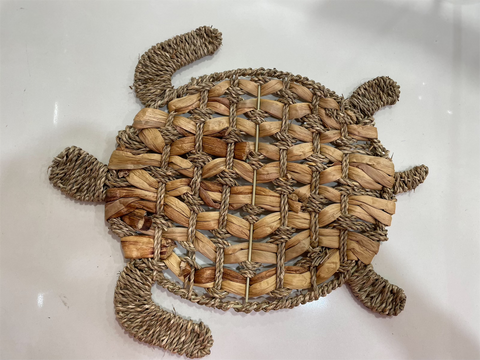 Place Mat - turtle